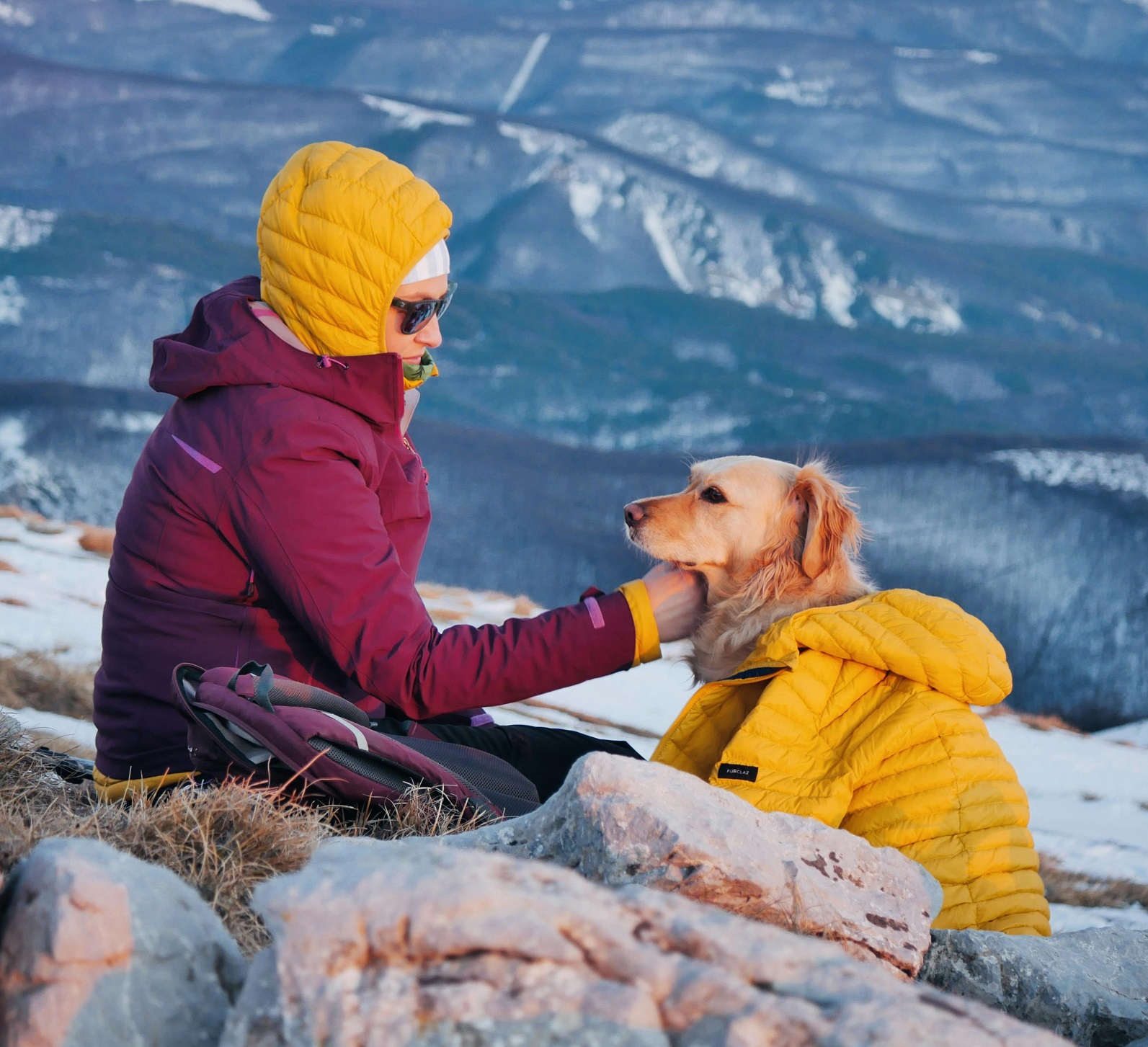 Dog Clothing for Small Breeds
