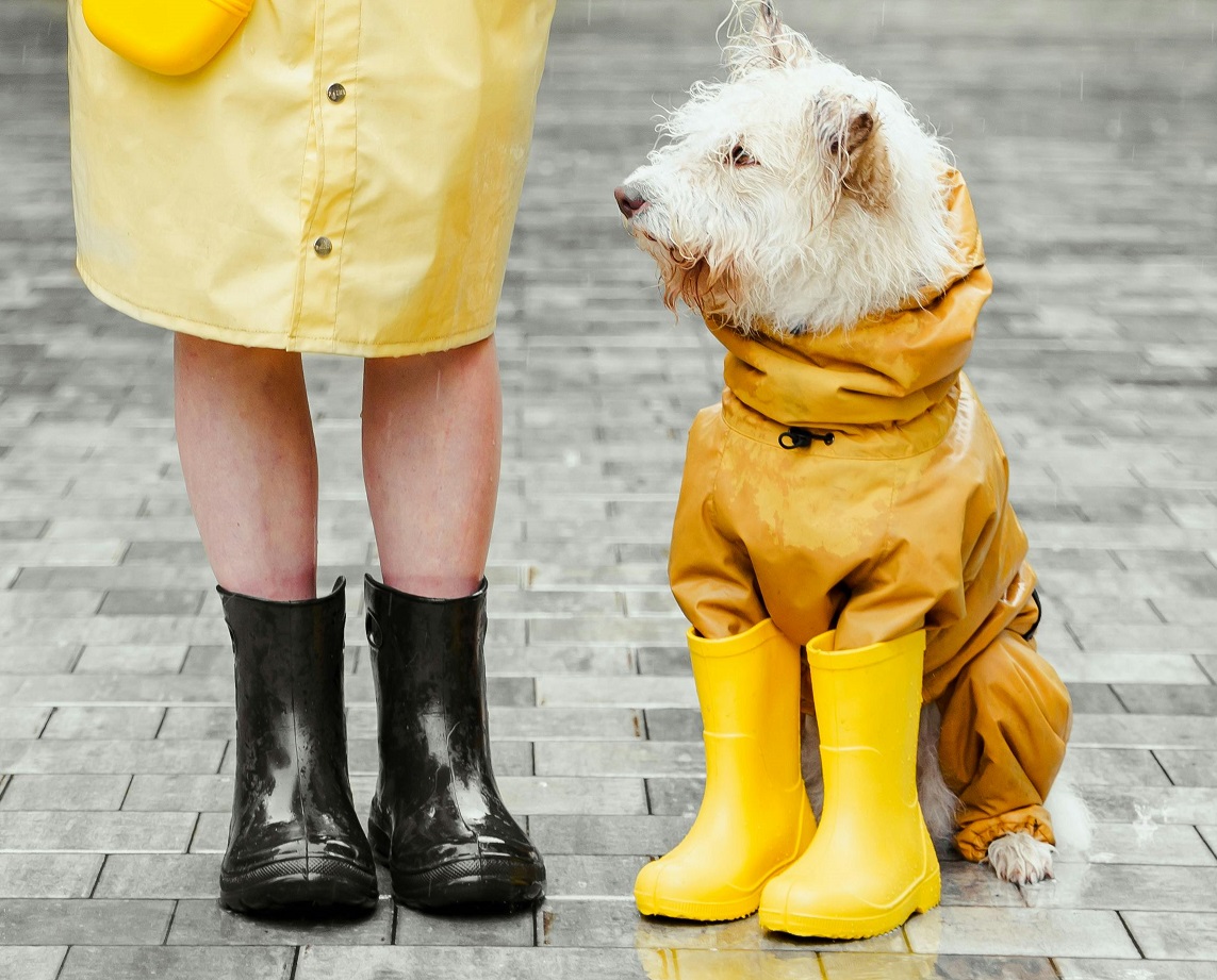 Waterproof Dog Jackets for WinterDog Jackets
