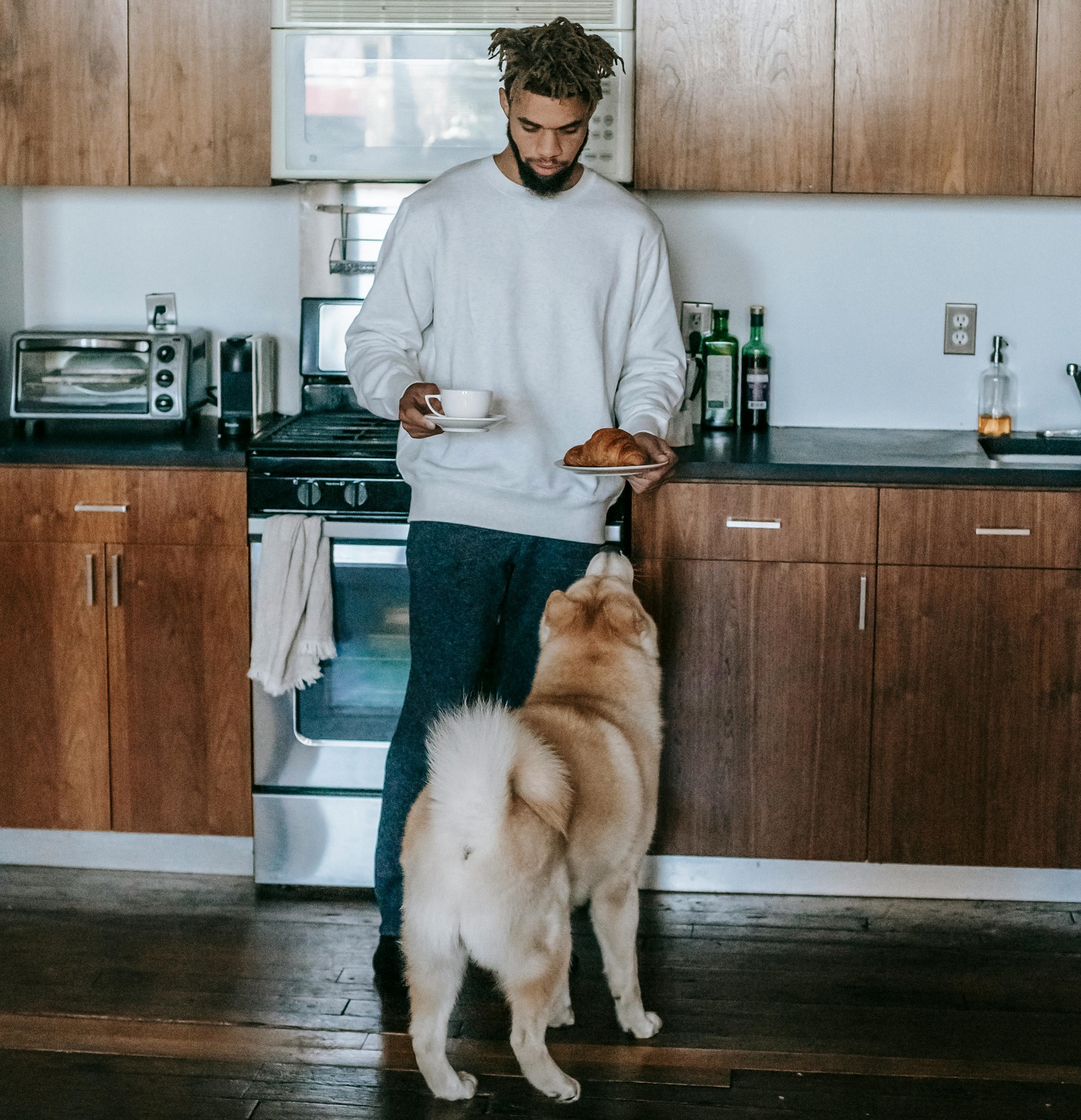 Best Dog Food for Senior Dogs