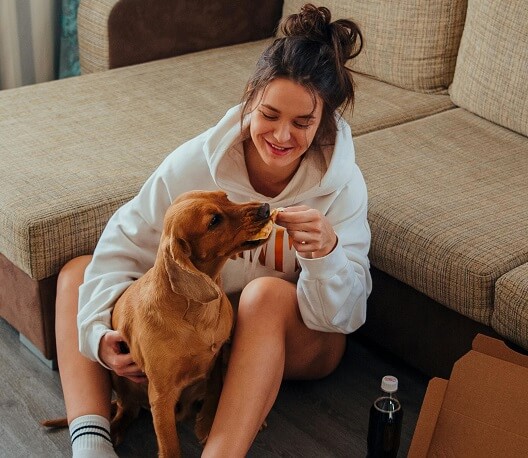 Best Dog Food for Dachshunds