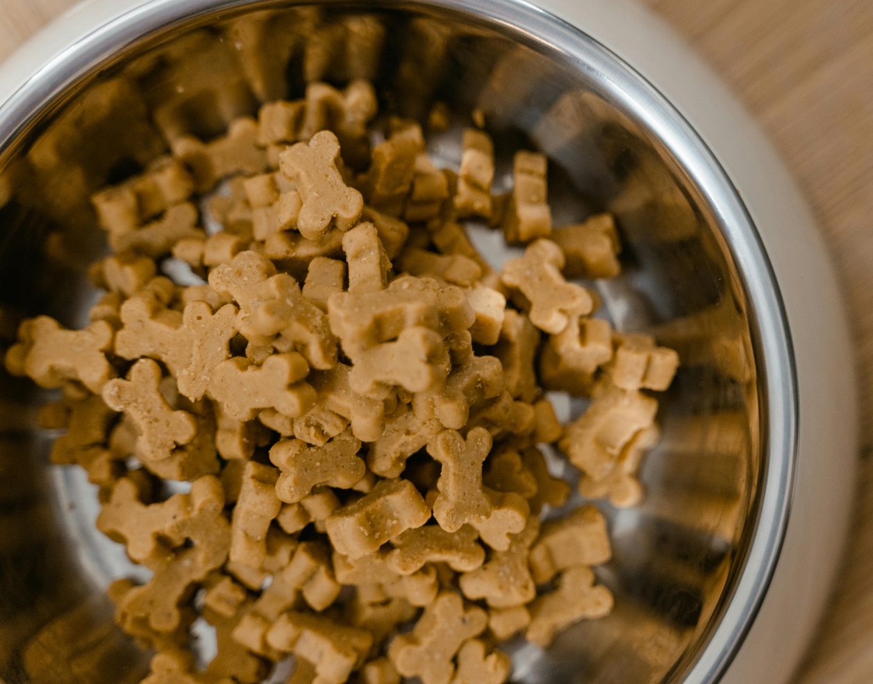 Best Dog Food for Large Breeds: Top Nutrition Picks for Healthy Giants