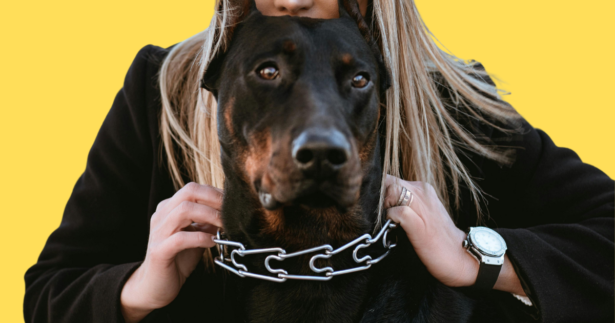 How to Chain a Dog: 6 The Ultimate Guide on Safely and Responsibly