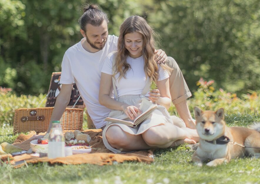 Best Dog Foods for Labradors