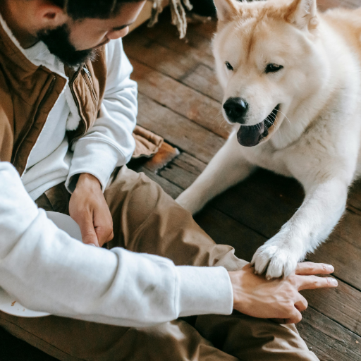 Dog Training with Treats