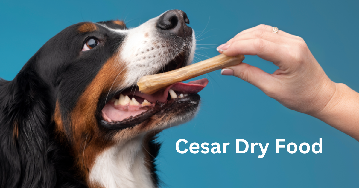 Cesar Dry Dog Food; 