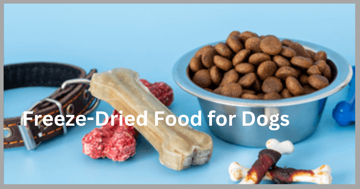 Freeze-Dried Food for Dogs