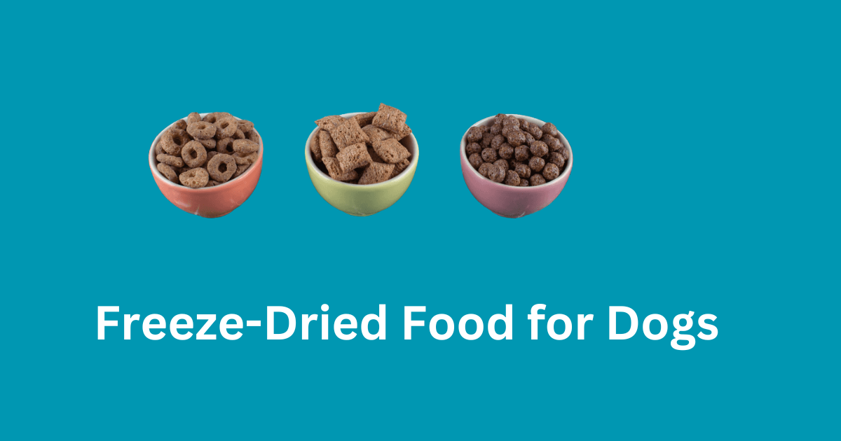 Freeze-Dried Food for Dogs