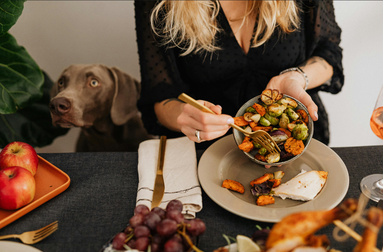 Homemade Dog Food Recipes for Kidney Disease: 10 best  Tips