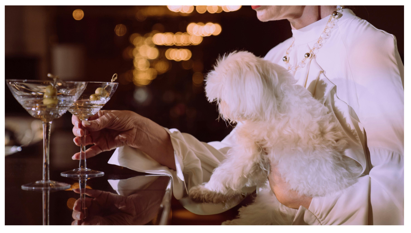 Dog Grooming Vacuum Kit: 5 Comprehensive Guide for Pet Owners 3 Dog Grooming Vacuum Kit