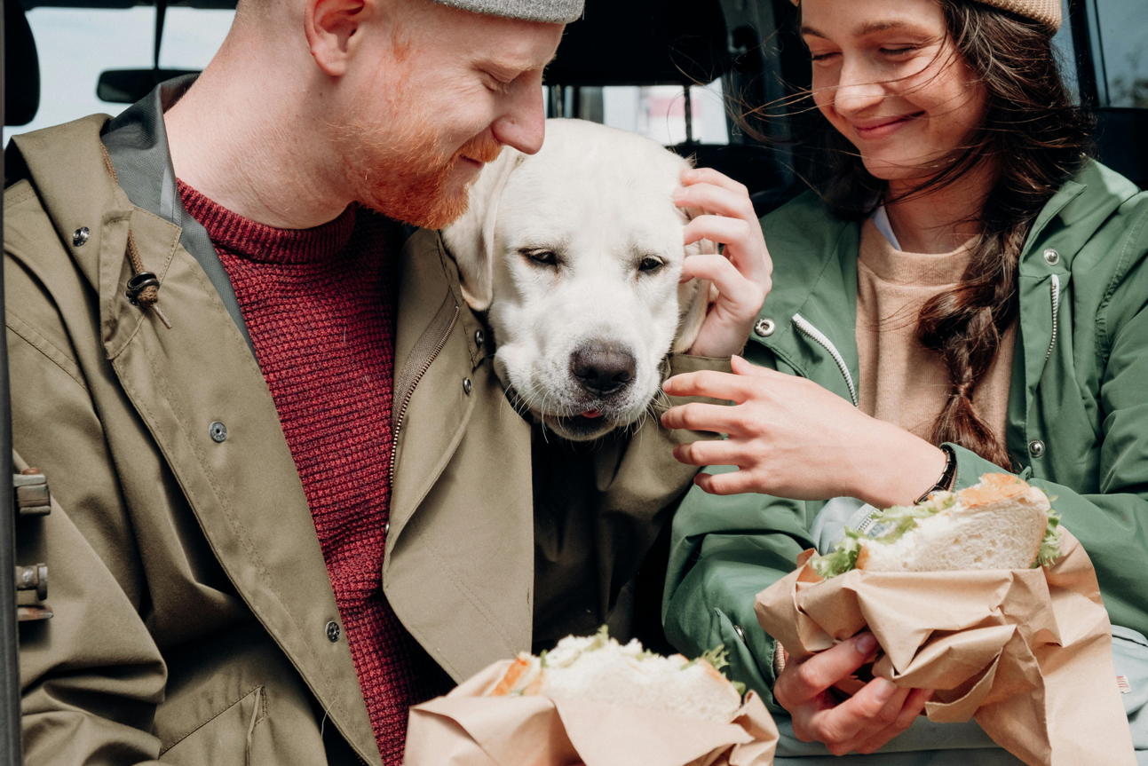 Homemade Dog Food for Diabetic Dogs: 10 best Supporting