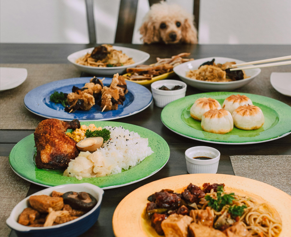 Special Dietary Needs for Dogs: A Guide to Healthier Pet Nutrition