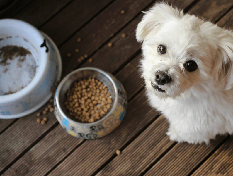 Pedigree Small Dog Food