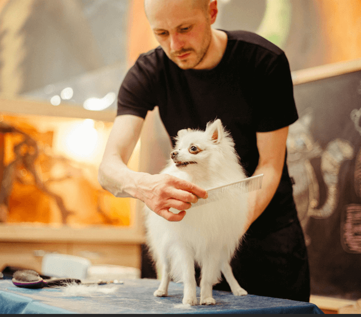 General Mobile Dog Grooming Services: Everything You Need to Know