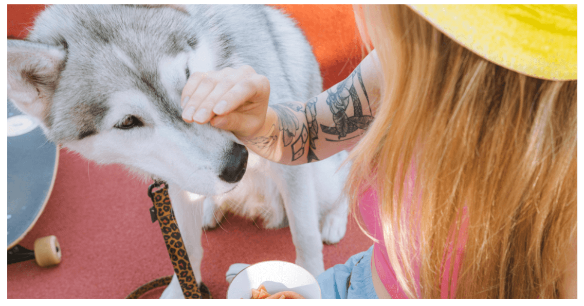 Types of Dog Food Ingredients: A Comprehensive Guide for Pet