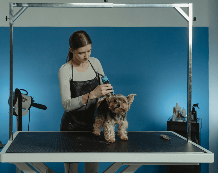 Other Specific Grooming Needs: A Comprehensive Guide for Every Pet Owner